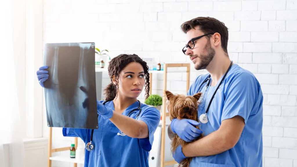 Diagnostica per Immagini